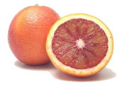 Citrus 1